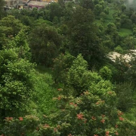 Valley View Family Unit Kasauli Exteriör bild